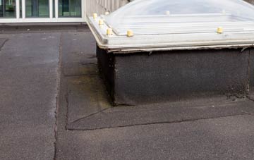 disadvantages of Lindrick Dale flat roofs