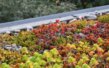 the cost of Lindrick Dale green roof installation