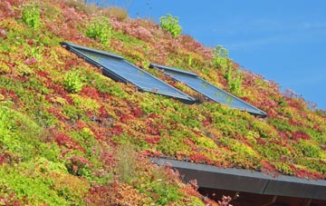 Lindrick Dale living roof systems
