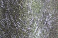 Lindrick Dale fibreglass roof work