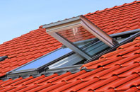 Lindrick Dale roof window