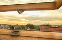 rated Lindrick Dale roof window companies